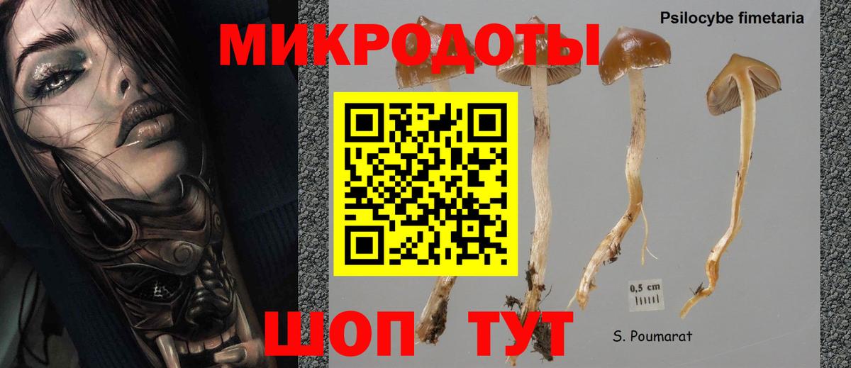 Псилоцибиновые грибы Magic Shrooms Родники